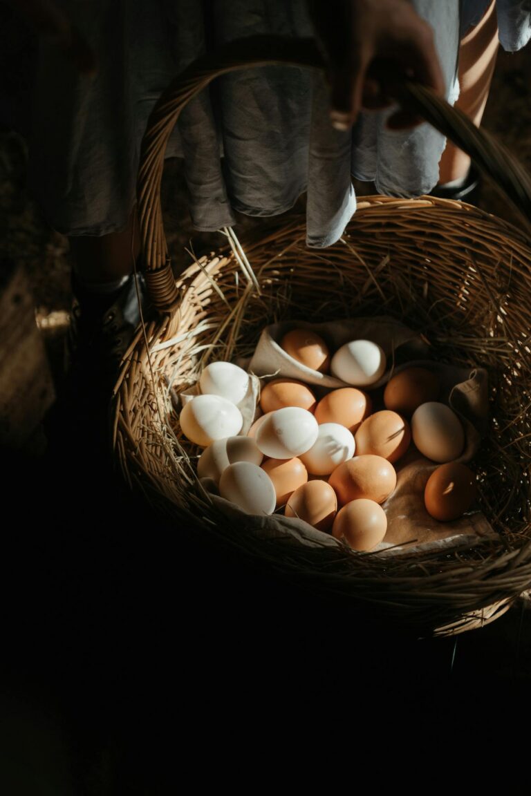 A wicker basket filled with farm fresh eggs in a rural setting.